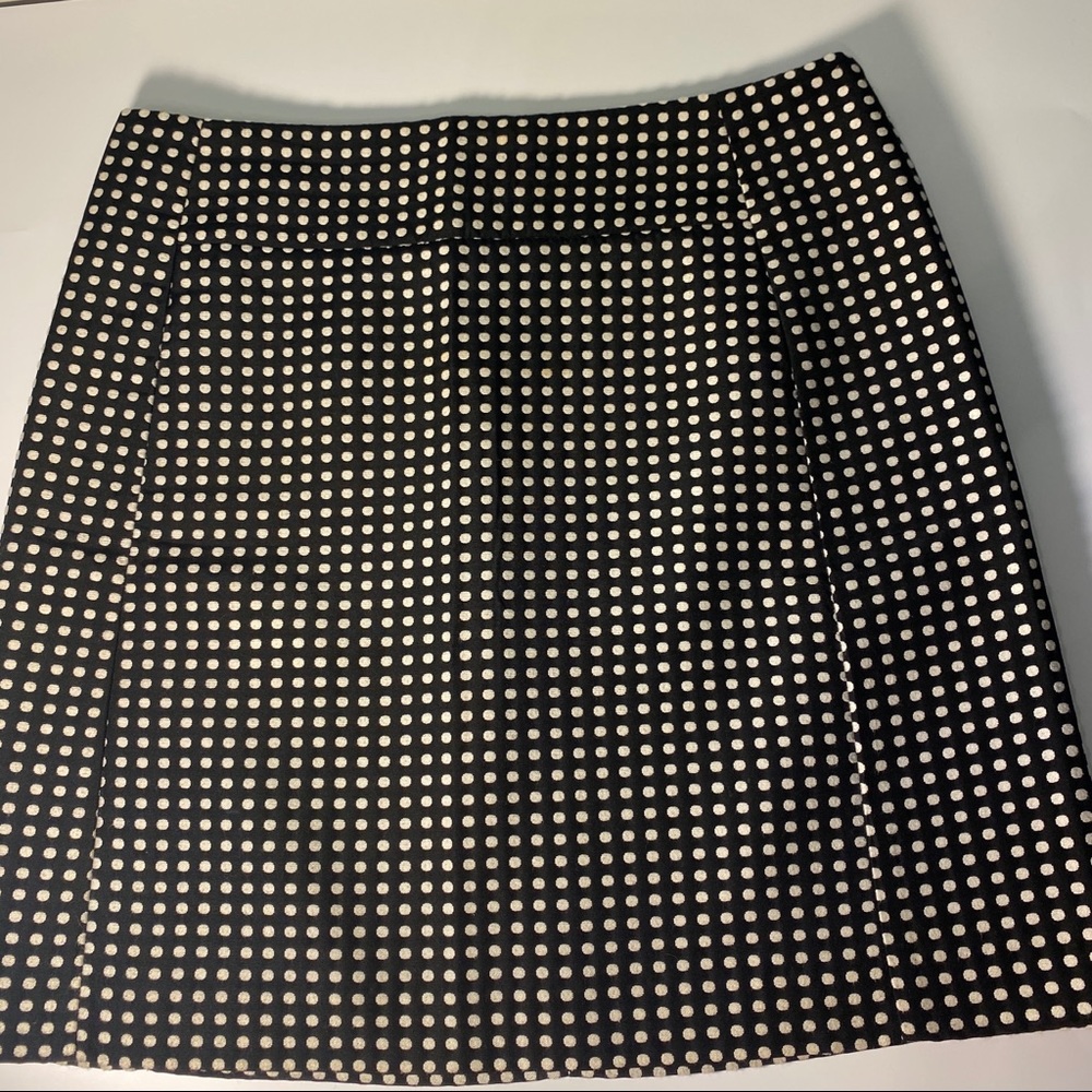 Ann Taylor Skirt